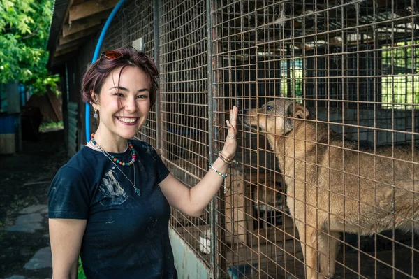 Dog at the shelter. Animal shelter volunteer feeding the dogs. Lonely dogs in cage with cheerful woman volunteer