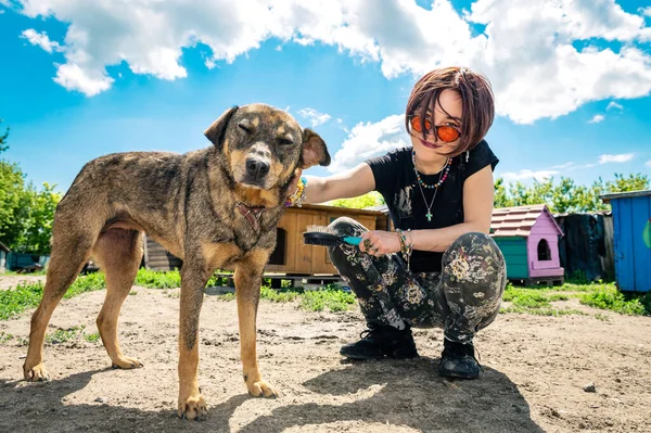 Dog at the shelter. Animal shelter volunteer feeding the dogs. Lonely dogs in cage with cheerful woman volunteer