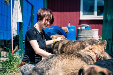 Barınaktaki köpek. Hayvan barınağı gönüllüsü köpeklerle ilgileniyor. Kafeste yalnız köpekler ve neşeli bir gönüllü kadın.. 