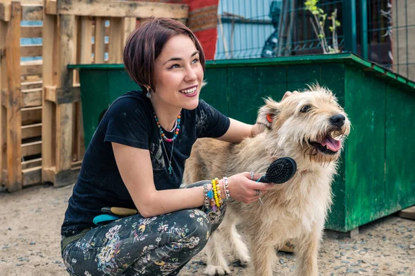 Hund Härbärget Frivilligarbetare Tar Hand Hundar Ensamma Hundar Bur Med — Stockfoto