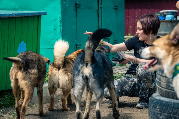 Dog at the shelter. Animal shelter volunteer takes care of dogs. Lonely dogs in cage with cheerful woman volunteer.