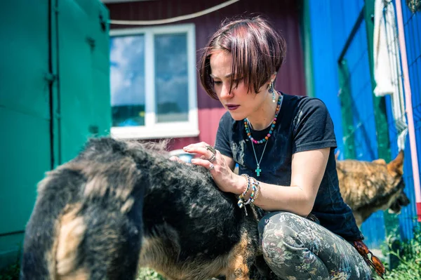 Chien Abri Animal Refuge Volontaire Prend Soin Des Chiens Chiens — Photo
