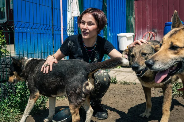 Dog at the shelter. Animal shelter volunteer takes care of dogs. Lonely dogs in cage with cheerful woman volunteer.