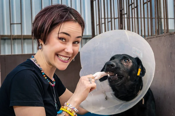 Dog at the shelter. Animal shelter volunteer takes care of dogs. Lonely dogs in cage with cheerful woman volunteer.