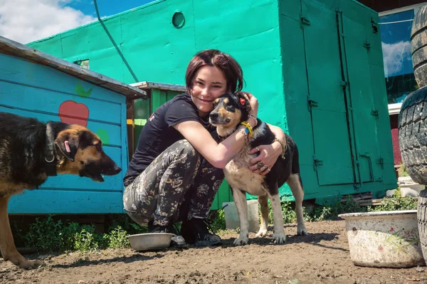 Animal shelter volunteer takes care of dogs. Lonely dogs in cage with cheerful woman volunteer. Dog at the shelter.