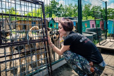 RIVNE, UKRAINE - 21 Haziran 2022. Gönüllülerle kafeste yalnız köpekler. Hayvan barınağı gönüllüsü köpeklerle ilgileniyor. Barınaktaki köpekler. 