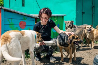 RIVNE, UKRAINE - JUNE 21, 2022. Lonely dogs in cage with volunteer. Animal shelter volunteer takes care of dogs. Dogs at the shelter. 