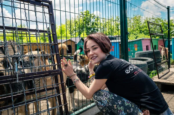 Rivne Ukraine June 2022 Lonely Dogs Cage Volunteer Animal Shelter — Photo