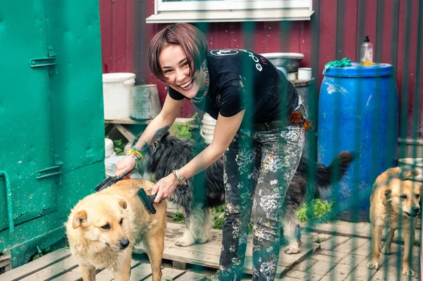 Rivne Ukraine June 2022 Lonely Dogs Cage Volunteer Animal Shelter — Stockfoto