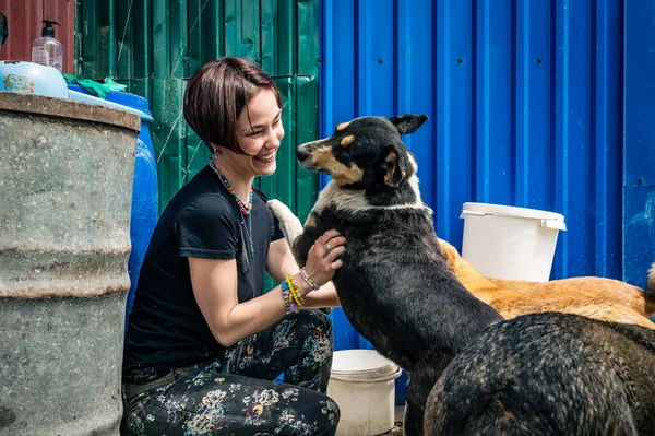 Lonely dogs in cage with volunteers. Animal shelter volunteers takes care of dogs. Dogs at the shelter.