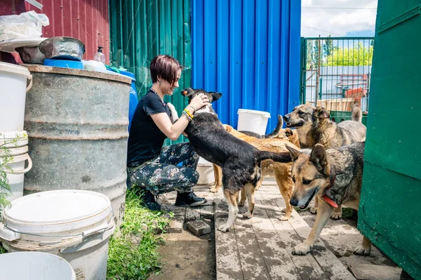 Lonely dogs in cage with volunteers. Animal shelter volunteers takes care of dogs. Dogs at the shelter.