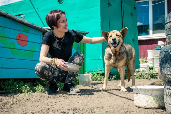 Rivne Ukraine June 2022 Lonely Dogs Cage Volunteer Animal Shelter — Stockfoto