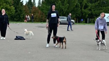 RIVNE, UKRAINE - 29 Eylül 2022. Bir kadın spor müsabakasından önce ısınıyor. Sporcu antrenmandan önce ısınıyor.