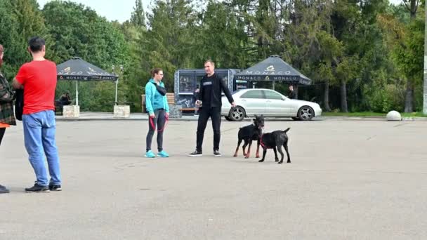 Rivne Ukraine September 2022 Menschen Die Mit Ihren Hunden Park — Stockvideo