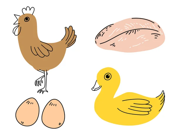 Línea Garabatos Lindo Dibujo Animado Animales Granja Pollo Pato Huevos — Vector de stock