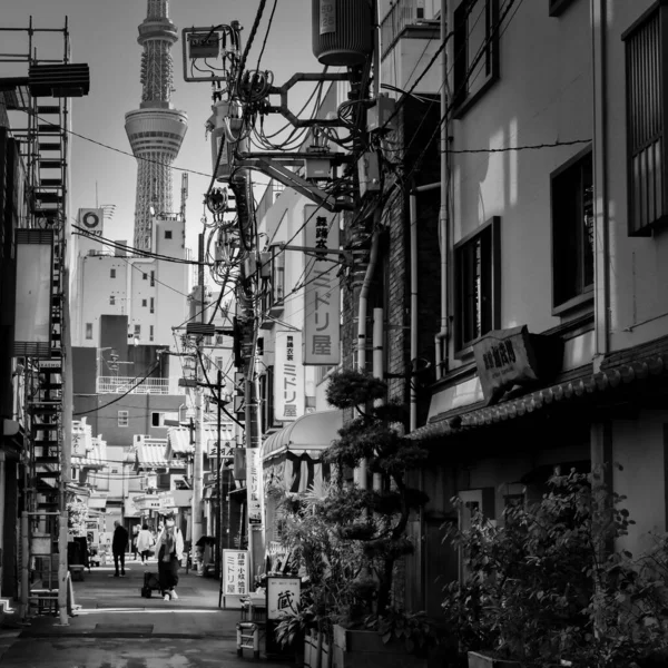 Tokyo Japonya Arka Planında Skytree Olan Asakusa Bölgesinde Bir Manzara — Stok fotoğraf