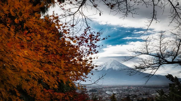 秋の色を持つ富士山と富士吉田市 — ストック写真