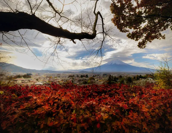 近くの丘から見える紅葉の富士山と富士吉田市 — ストック写真
