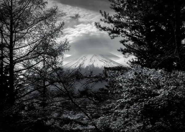 Гора Фудзи Видна Через Лес Рядом Фудзиёсидой Япония — стоковое фото