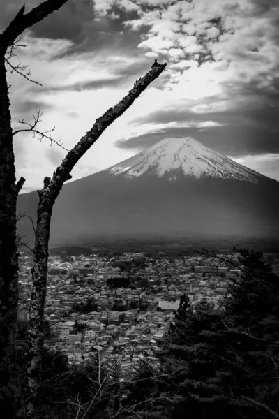 背景に富士山と富士吉田市のある木の切り株 — ストック写真