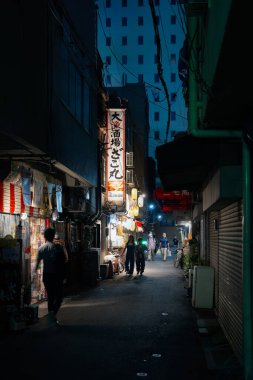 Yayalar akşam saatlerinde Japonya 'nın Hiroşima bölgesindeki Tuzuki bölgesinde yürürler..