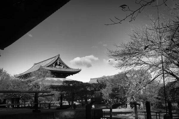 Des Feuilles Automne Entourent Temple Toji Kyoto Japon — Photo