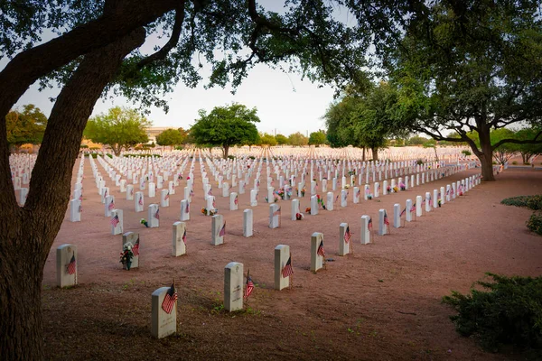 Flagi Ustawione Cmentarz Jest Cichy Noc Przed Dniem Pamięci Zachodnim — Zdjęcie stockowe