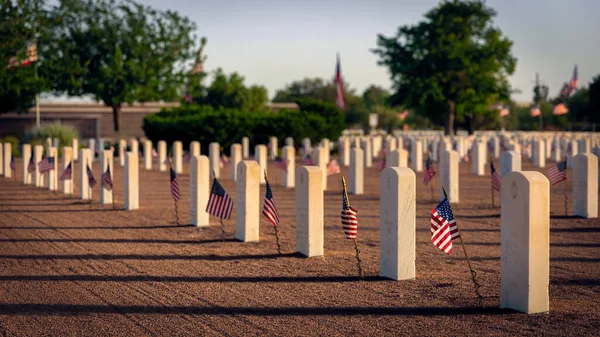 The night before Memorial Day, with all the flags in place, at a west Texas national cemetery.