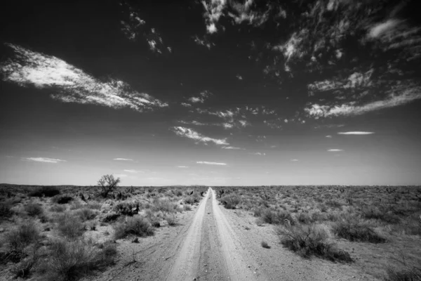 Una Strada Ghiaia Nel Deserto Del Texas Vicino Horizon City — Foto Stock