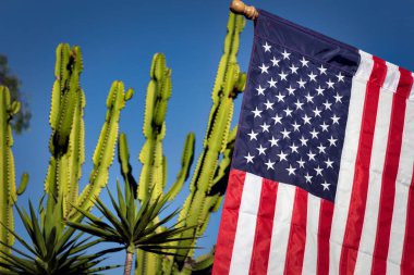 An American flag hangs in front of a cactus in San Diego, California.