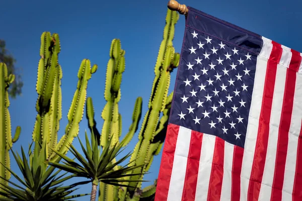 American Flag Hangs Front Cactus San Diego California — Fotografia de Stock