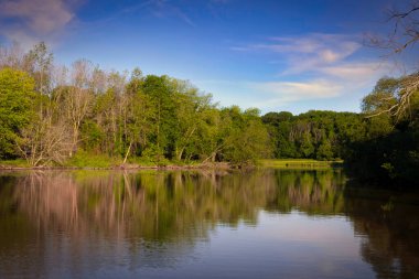 Manitowoc, Wisconsin 'de serin bir temmuz sabahı, sakin bir nehrin etrafındaki ormanda güneş doğar..