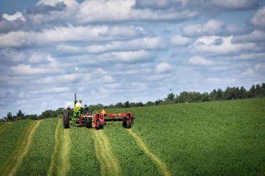 Bir çiftçi, Dyersville, Iowa yakınlarında güneşli bir yaz gününde yavaşça ekinlerini yetiştirir..