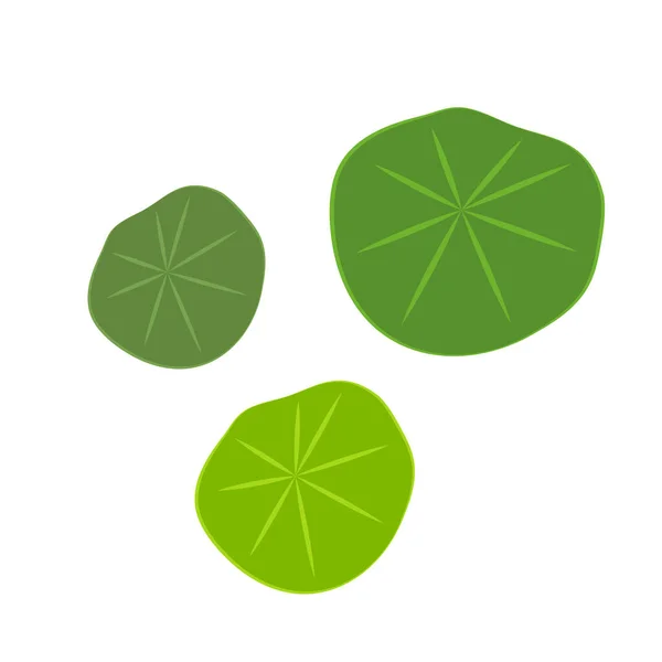 Lily pad vektörü. Lily Pad logo tasarımı.