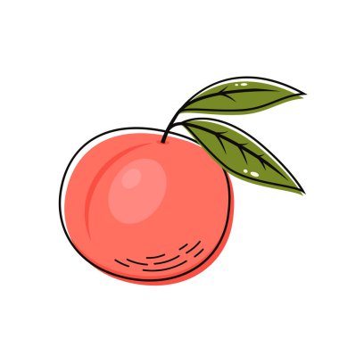 Şeftali vektör simgeleri ayarlandı. Gerçekçi çizim