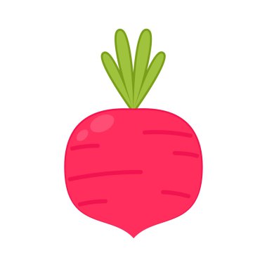 Turp karikatür vektörü. Beyaz arkaplanda turp.