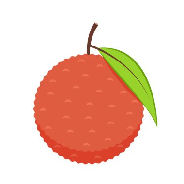 Lychee vektörü. Beyaz arkaplanda Lychee vektörü.