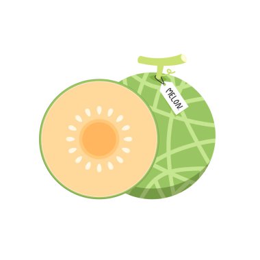 Melon vector. melon on white background. symbol. Melon cartoon vector.