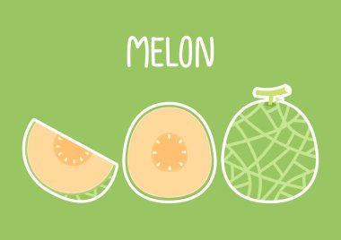 Kavun vektörü. Beyaz arka planda kavun. Duvar kağıdı. Sembol. Logo tasarımı. kavun posteri.