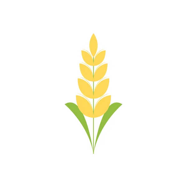 Symbol Ryżu Wektor Symbolu Pszenicy Tapeta Projekt Logo — Wektor stockowy
