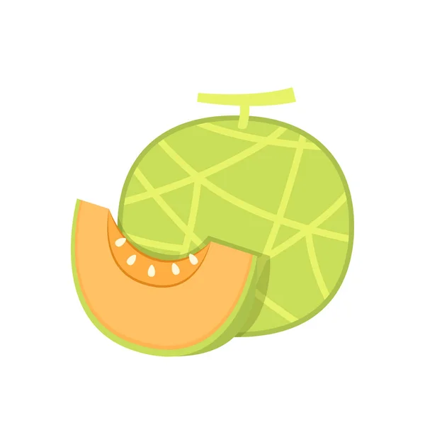 Vecteur Melon Melon Sur Fond Blanc Papier Peint Symbole Logo — Image vectorielle