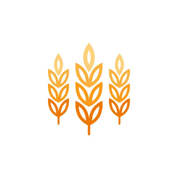 Wheat Logo Design Oat Symbol Vector — Stock Vector