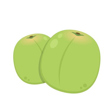 Erik karikatürü vektörü. Beyaz arkaplanda erik.