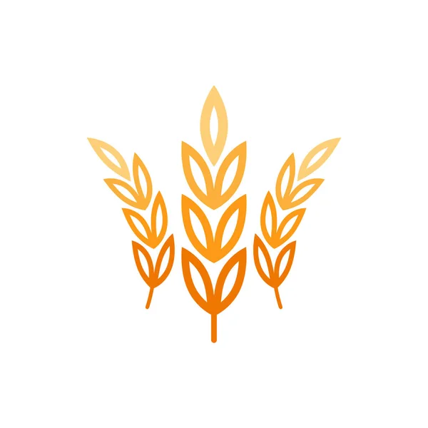 Conception Logo Blé Vecteur Symbole Avoine — Image vectorielle