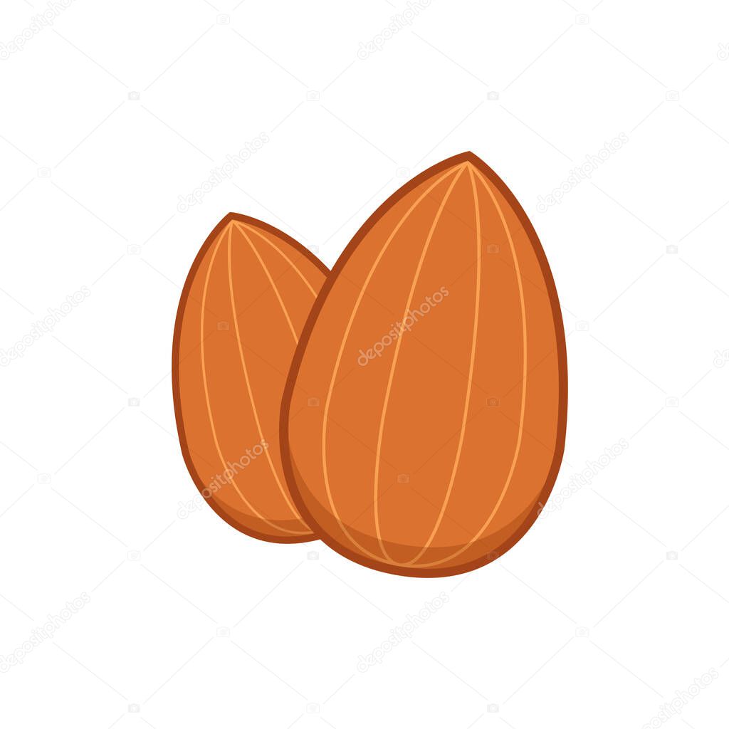 Almonds on white background. Almond seed logo design.