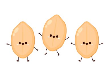 Yer fıstığı karakter tasarımı. Beyaz arkaplanda yer fıstıkları.