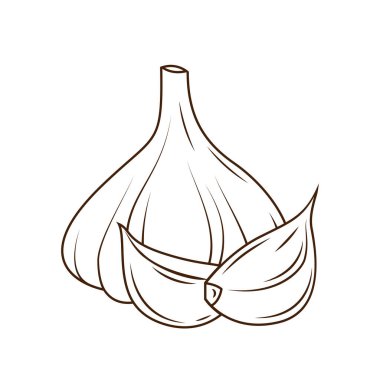 Sarımsak ana hatlı vektör çizimi. İzole edilmiş sebze, oymalı sarımsak. Sarımsak logosu.