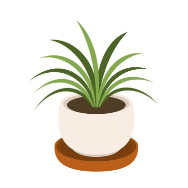 Saksı vektöründeki bitkiler. Beyaz arkaplanda pot simgesi vektöründeki bitkiler.