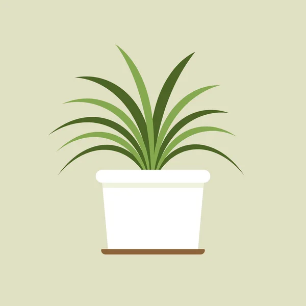 Plantas Vector Maceta Plantas Maceta Icono Vector Sobre Fondo Verde — Vector de stock