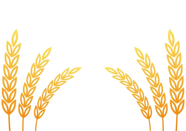 Weizen Auf Weißem Hintergrund Weizenvektor Tapete Freiraum Für Text Kopierraum — Stockvektor